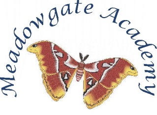 meadowgate academy logo (2)